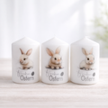 Osterkerzen Set „Frohe Ostern“ – süßer Hase & Küken | Osterdeko | Ostergeschenk | 3er Set